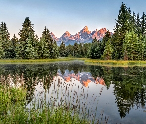 Stan Wyoming, Stany Zjednoczone, Drzewa, Rzeka Snake River, Góry Teton Range, Odbicie, Park Narodowy Grand Teton