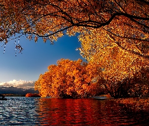 Jezioro, Jesień, Nowa Zelandia