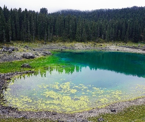 Jezioro, Kamienie, Drzewa, Las
