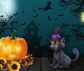 Halloween, Latarnia, Dynia, Kot