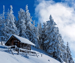 Zima, Drzewa, Zbocze, Domek
