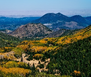 niebo, drzewa, góry, las