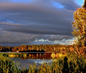 Jezioro, Drzewa, Chmury, Jesień, Odbicie
