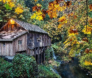 Rzeka, Młyn Cedar Creek Grist Mill, Stany Zjednoczone, Las, Woodland, Stan Waszyngton, Drzewa