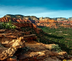 Niebo, Drzewo, Kanion, Wielki, Arizona, Las