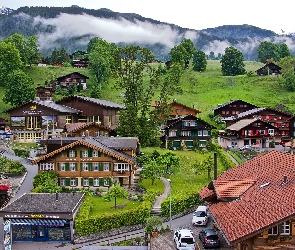 Domy, Górska, Wioska, Szwajcaria, Alpy, Drzewa, Mgła, Grindelwald