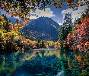 Prowincja Syczuan, Chiny, Jezioro, Park Narodowy Jiuzhaigou, Góry, Lasy, Ngawa