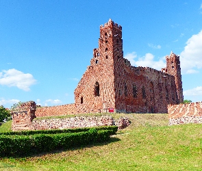 Budowla, Radzyń Chelmiński, Zamek