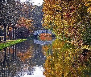 Jesień, Drzewa, Most, Rzeka