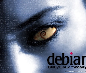 oko, Linux Debian, muszla, rzęsy, zawijas, grafika, ślimak