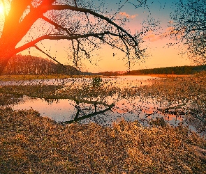 Rzeka, Jesień, Słońce, Drzewa