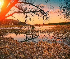 Jesień, Słońce, Rzeka, Drzewa