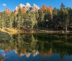 Las, Jezioro, Chmurka, Góry, Niebo, Drzewa