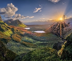 Drzewo, Zachód słońca, Dolina, Szkocja, Wzgórza, Quiraing