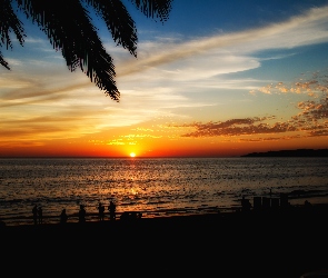 Zachód słońca, Riwiera Nayarita, Morze, Palmy