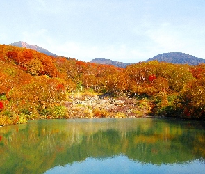 Góry, Drzewa, Jezioro, Las