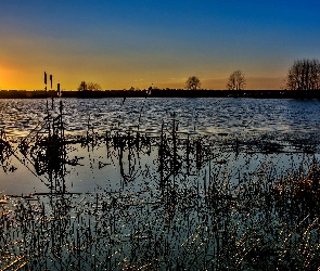 Słońca, Zachód, Szuwary, Jezioro