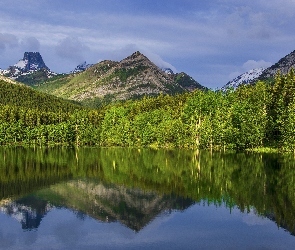 Jezioro, Odbicie, Góry, Las