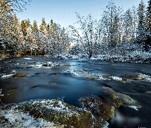 Kamienie, Rzeka, Zima, Las