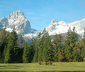 Łąka, Las, Góry, Śnieg