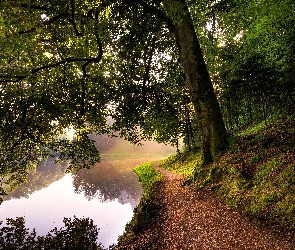 Poranek, Rzeka, Drzewo, Ścieżka
