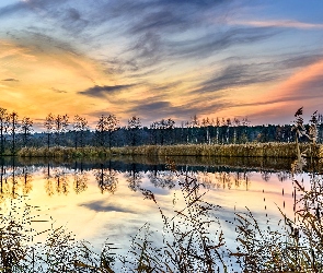 Rzeka, Trawa