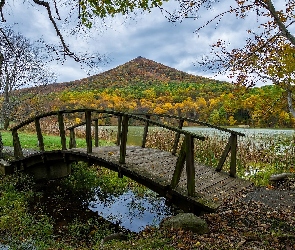 Drewniany, Wzgórze, Most