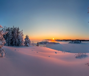 Śnieg, Drzewa, Wschód słońca, Zima