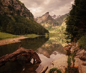 Drzewa, Jezioro, Góry, Odbicie