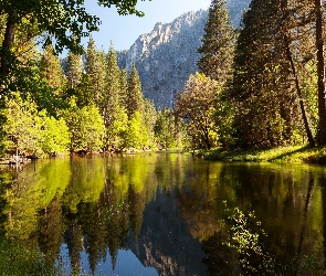 Jezioro, Las, Wzgórza