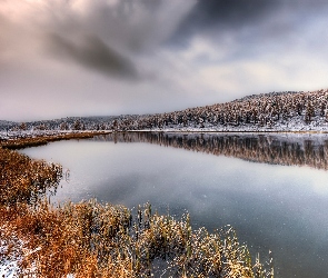 Zima, Śnieg, Trawy, Jezioro