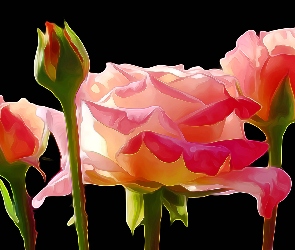 Paintography, Róże