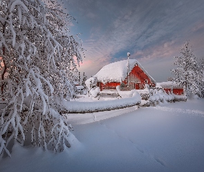 Zima, Zmierzch, Drzewa, Dom, Śnieg