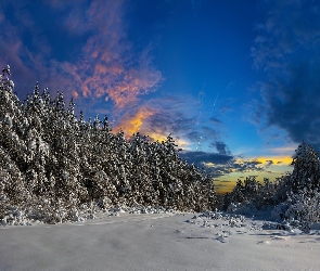 Zima, Zachód słońca, Śnieg, Drzewa