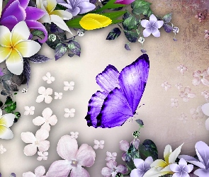 Motyl, Kwiaty, Grafika, 2D
