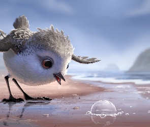 Ptak, Grafika 2D, Plaża