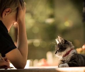 Chłopiec, Kot Maine coon, Stół