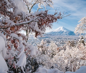 Zima, Drzewa, Japonia, Góra, Fuji, Dolina