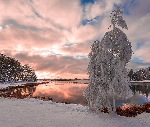Zima, Drzewa, Jezioro, Śnieg
