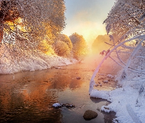 Zima, Drzewo, Wschód słońca, Mgła, Rzeka