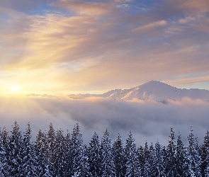 Wchód słońca, Mgła, Góry, Zima