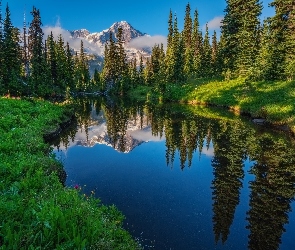 Jezioro Las, Stan Waszyngton, Stany Zjednoczone, Odbicie, Rzeka, Drzewa, Góry, Park Narodowy Mount Rainier