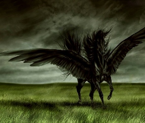 Koń, Fantasy, Latający