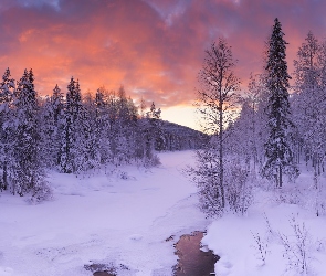 Finlandia, Rzeczka, Zima, Las, Laponia