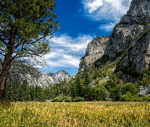 Kalifornia, Góry, Park Narodowy Kings Canyon