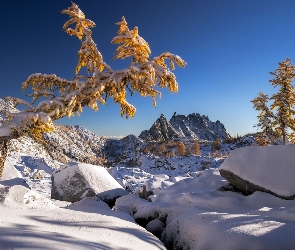 Zima, Kamienie, Drzewa, Góry