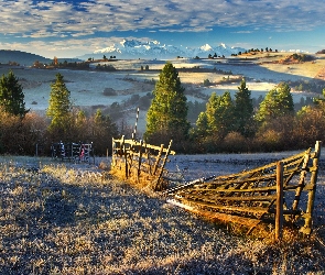 Góry Tatry, Polska, Przymrozek, Pola, Płot, Drzewa, Wzgórza