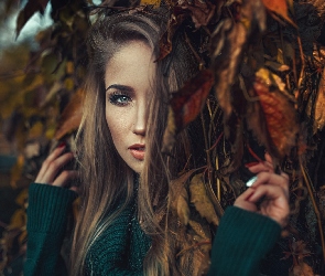 Sweter, Zielony, Szatynka, Kobieta, Suche, Liście