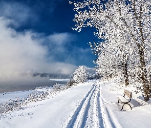 Zima, Ławka, Park, Jezioro, Mgła, Drzewa