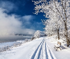 Jezioro, Park, Zima, Drzewa, Ławka, Mgła